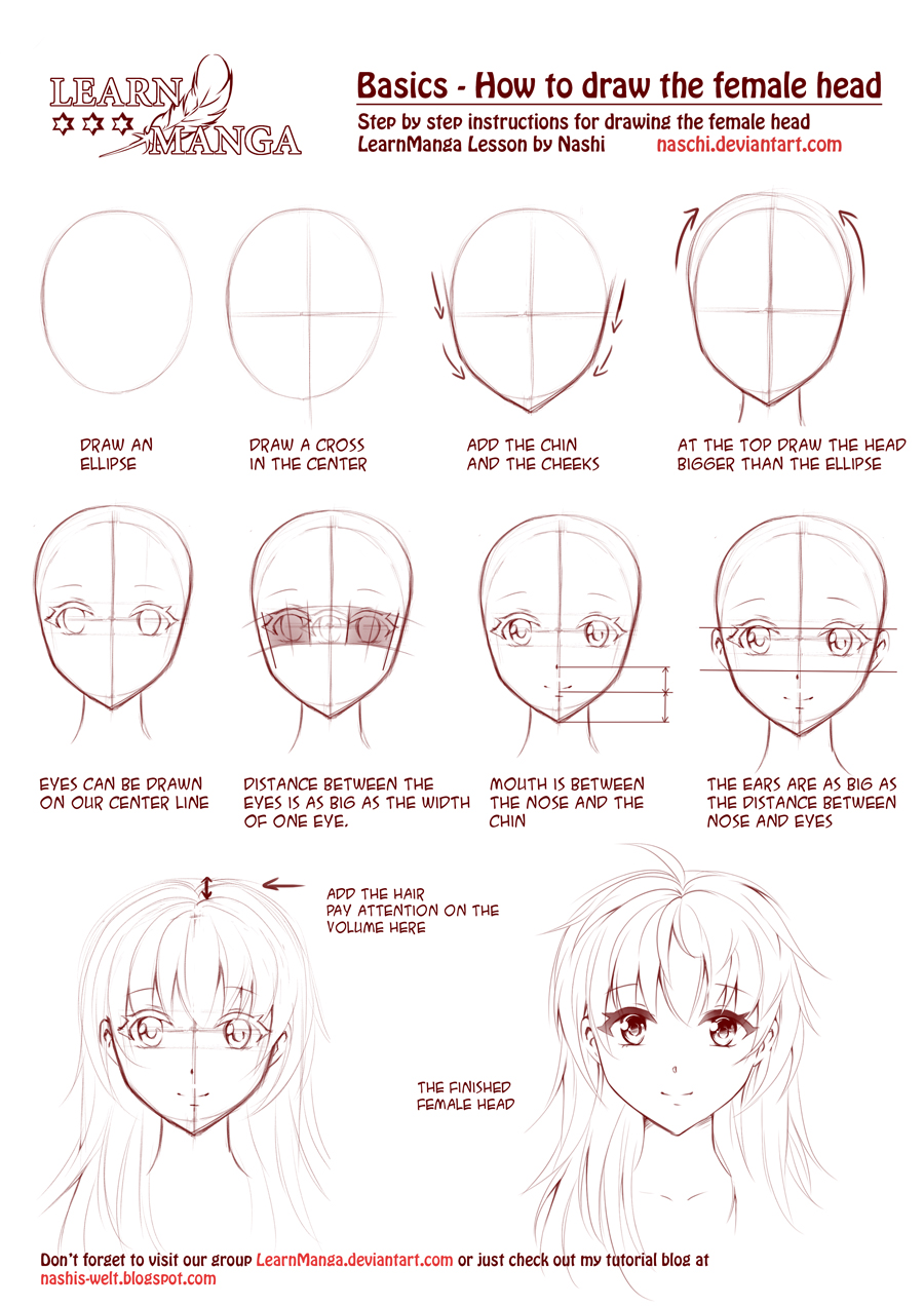 900x1273 Learn Manga How To Draw The Female Head Front By Naschi - Face Sketch Anime