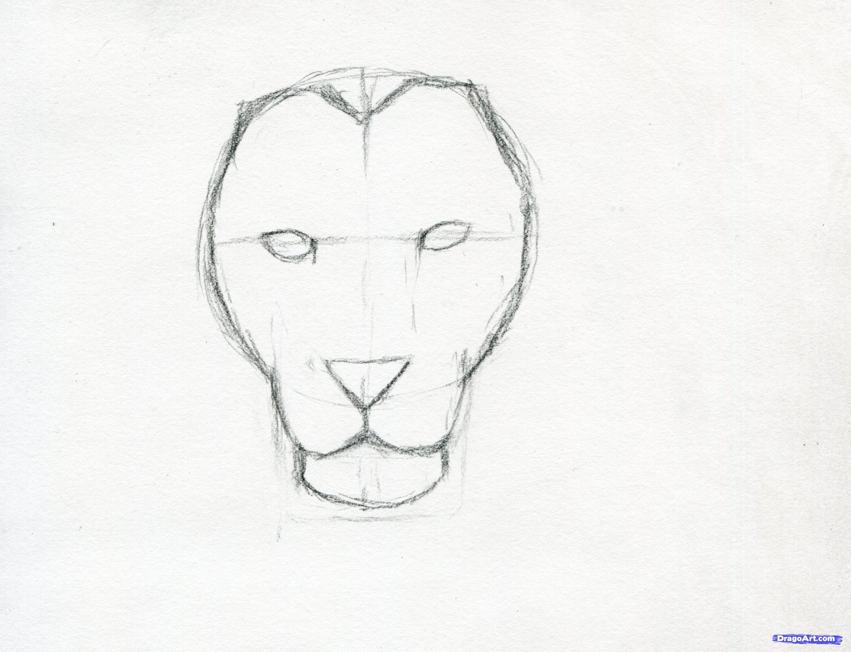 2842x2179 Easy Face Sketches How To Sketch A Lion Step 6 Inspiration To - Face Sketch Easy