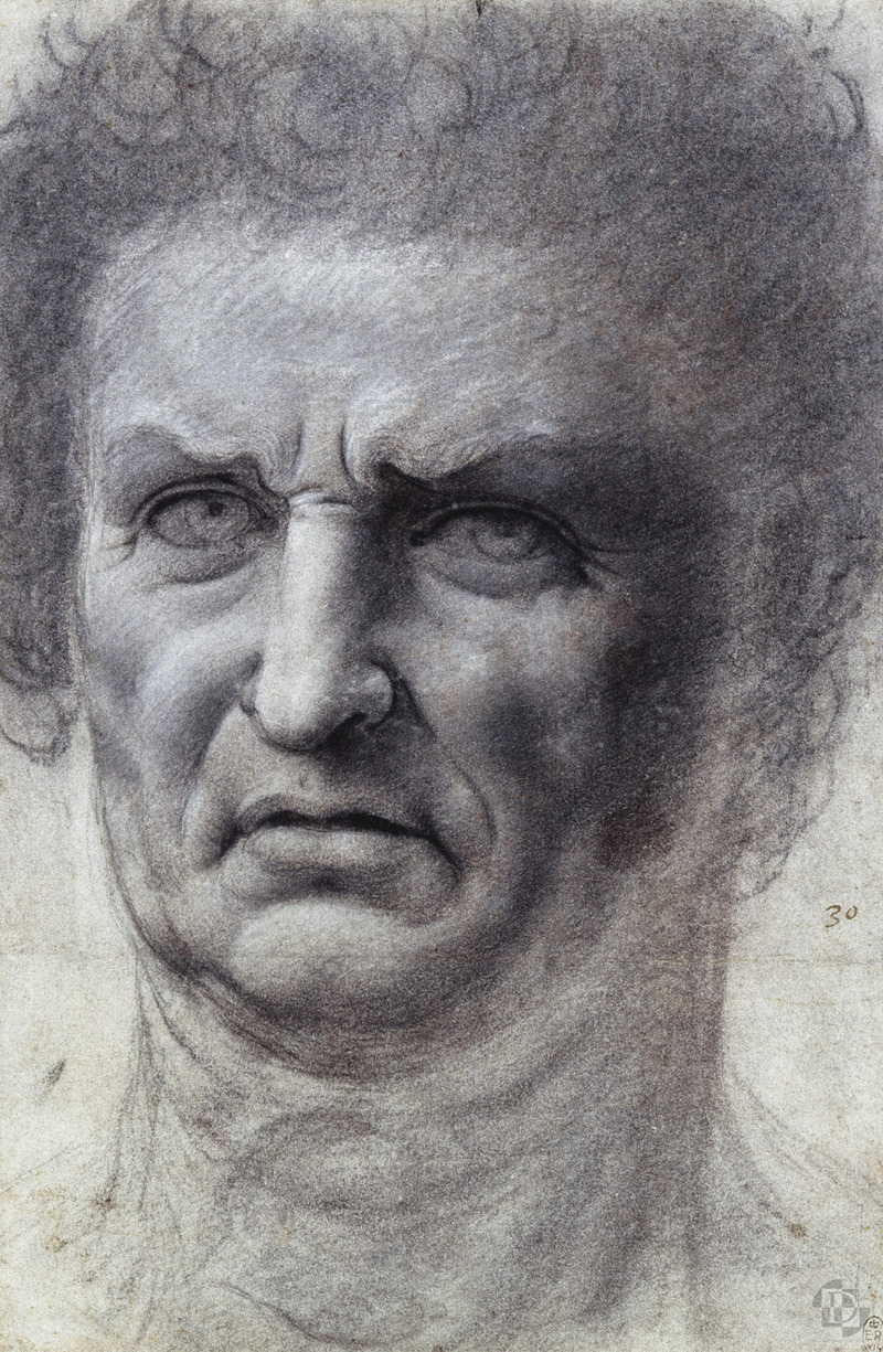 800x1225 Artwork By Follower Of Leonardo Da Vinci - Face Sketch Online