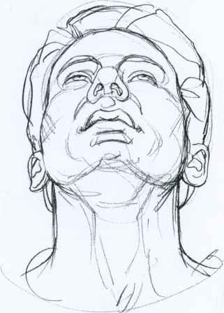 321x448 Portrait Composition - Face Study Sketch