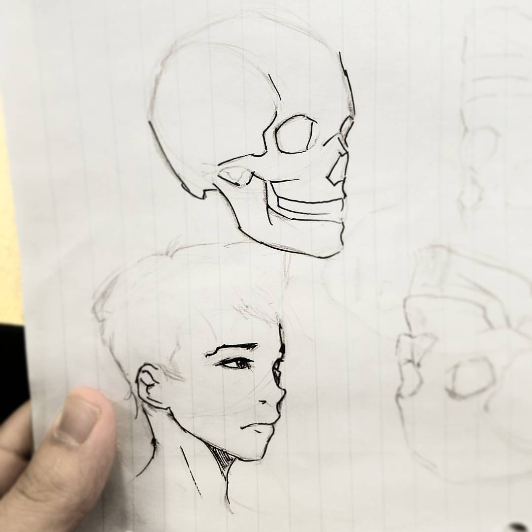 1080x1080 Steaming Hot Shit Using Skull Studies Helps With Face Angles. Do - Face Study Sketch