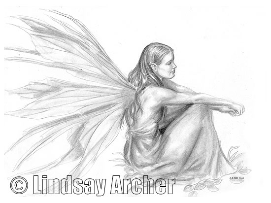 550x412 Sitting Fairy Original Sketch By Artist Lindsay Archer - Faerie Sketch