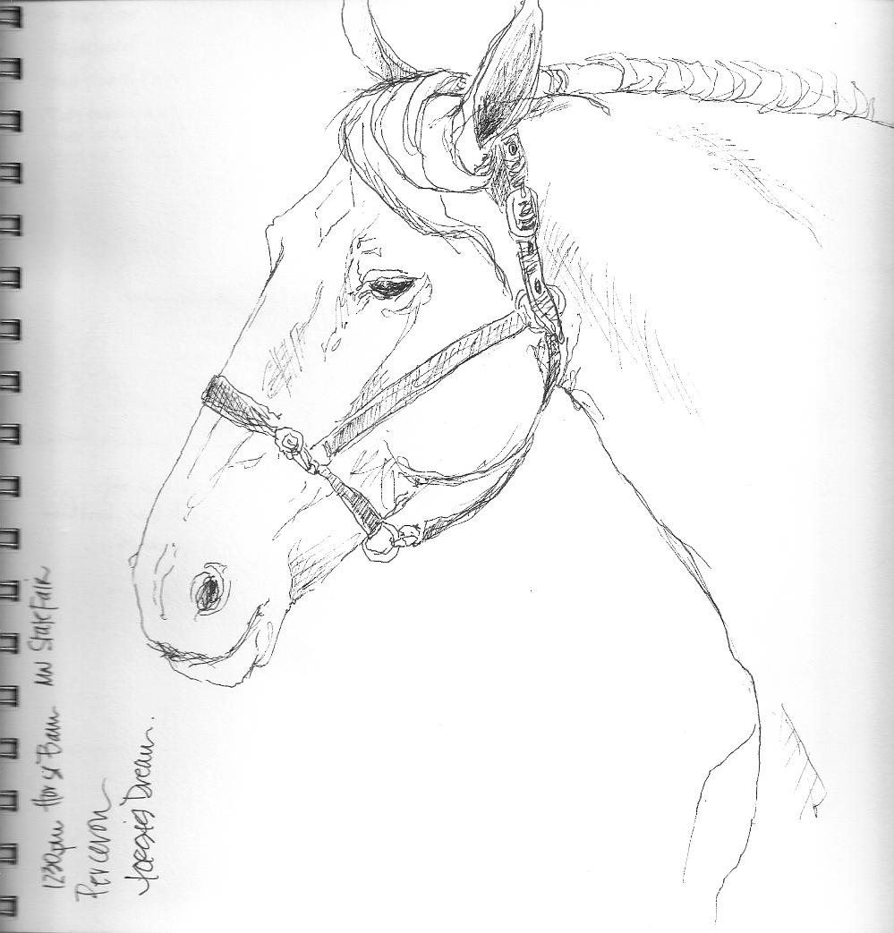 999x1043 Suzanne I Am Minnesota State Fair Sketch Out (Part Two) - Fair Sketch