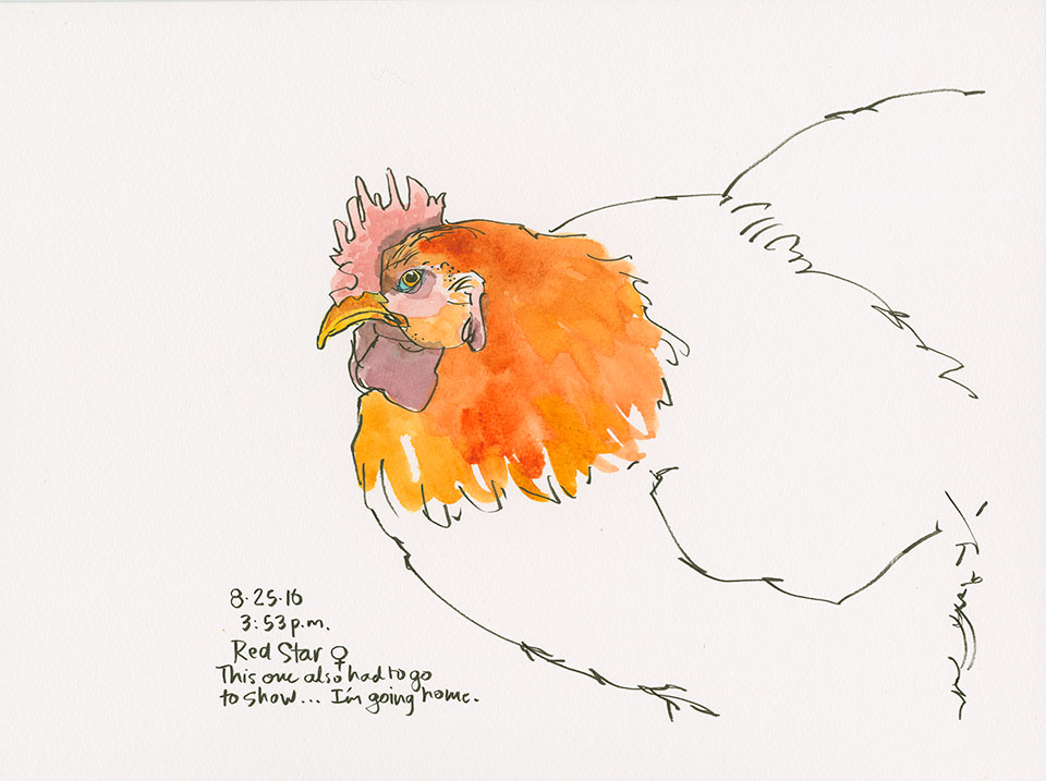 960x717 The Great Minnesota State Fair Sketch Together Is Almost Here - Fair Sketch