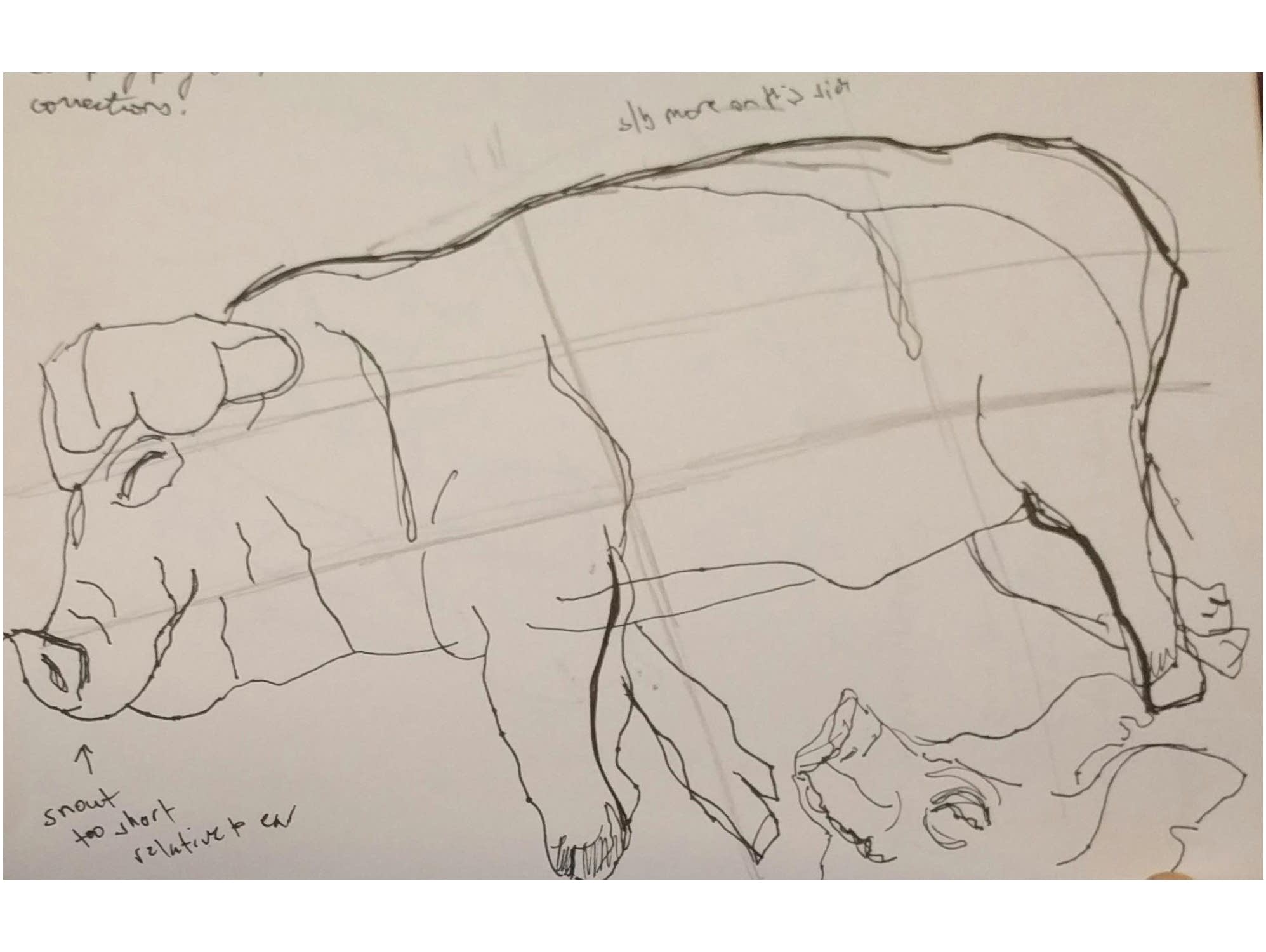 1995x1500 The Minnesota State Fair In Sketches Mpr News - Fair Sketch