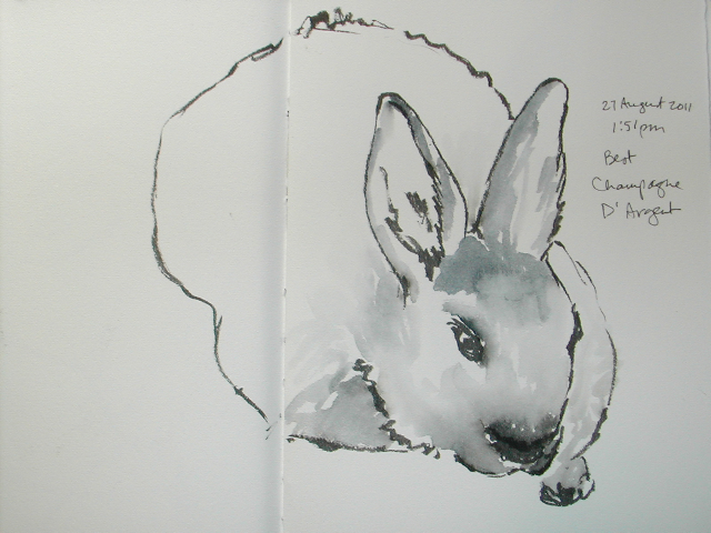 640x480 Urban Sketchers Twin Cities Minnesota State Fair Sketch Out 2011 - Fair Sketch