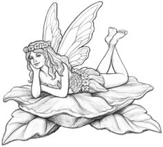 236x213 Photos Fairy Pencil Sketch, - Fairy Pencil Sketch