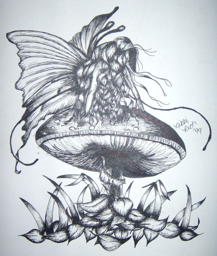 736x867 Drawn Mushroom Pencil Sketch - Fairy Pencil Sketch
