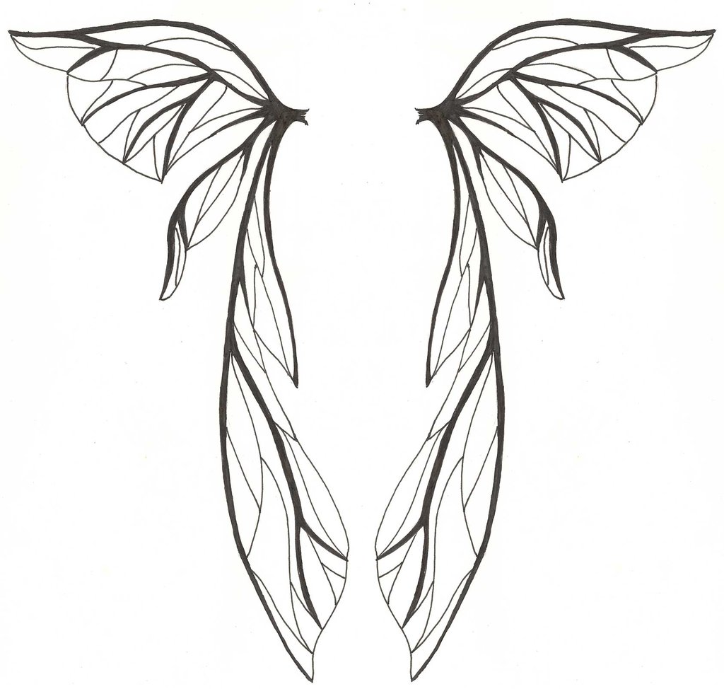 1024x974 Fairy Wings By Chaosfay - Fairy Wings Sketch