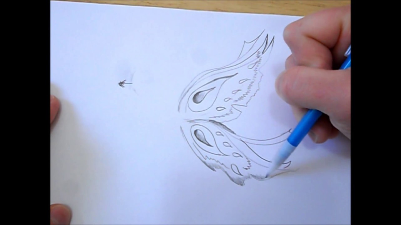 1280x720 How To Draw Butterflyfairy Wings - Fairy Wings Sketch