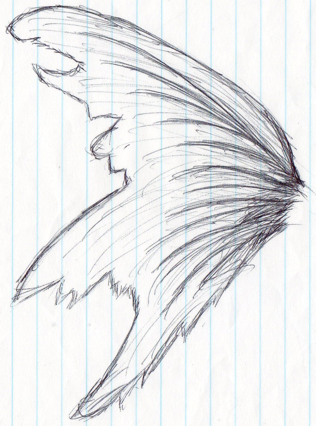 1055x1421 View Topic - Fairy Wings Sketch