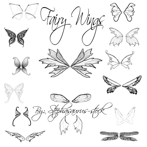 600x600 How To Draw A Anime Fairy Wings Fairy Wing Brushes By - Fairy Wings Sketch