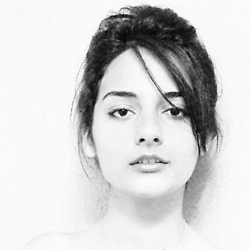 500x499 Fake Sketch After All The Picture I Took With Saghi That - Fake Sketch