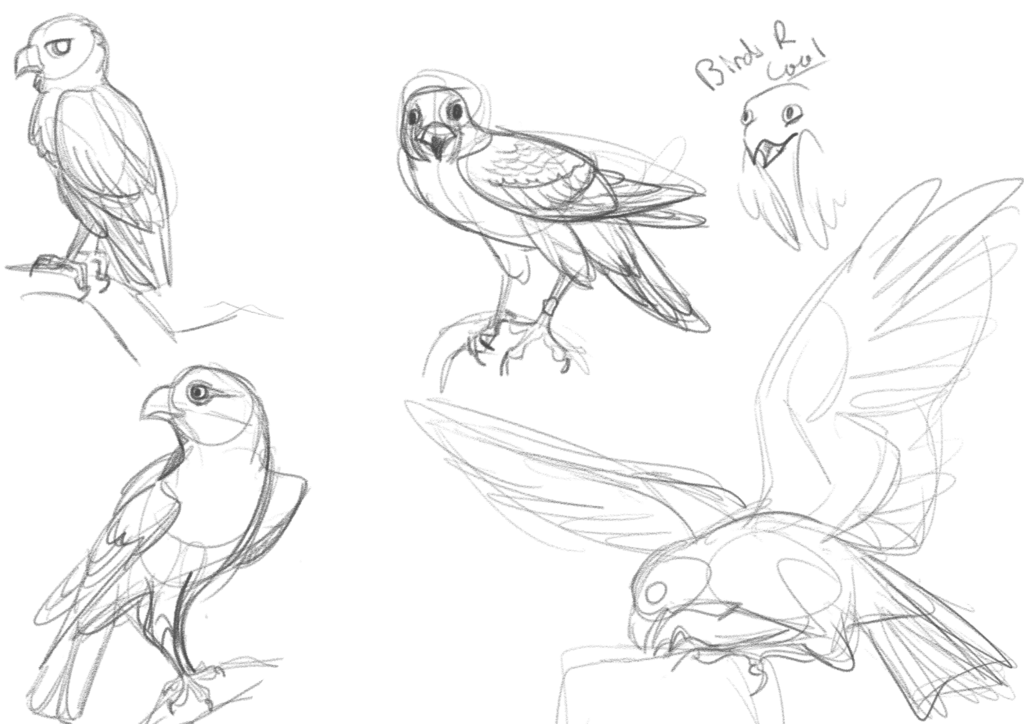 1024x724 Falcon Sketches By Netoey - Falcon Sketch