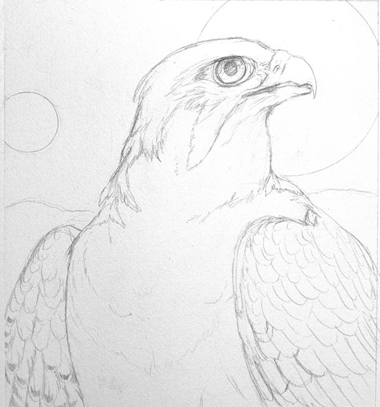 550x589 Featherseeds Griffon Vulture Progress And Lanner Falcon Sketch - Falcon Sketch