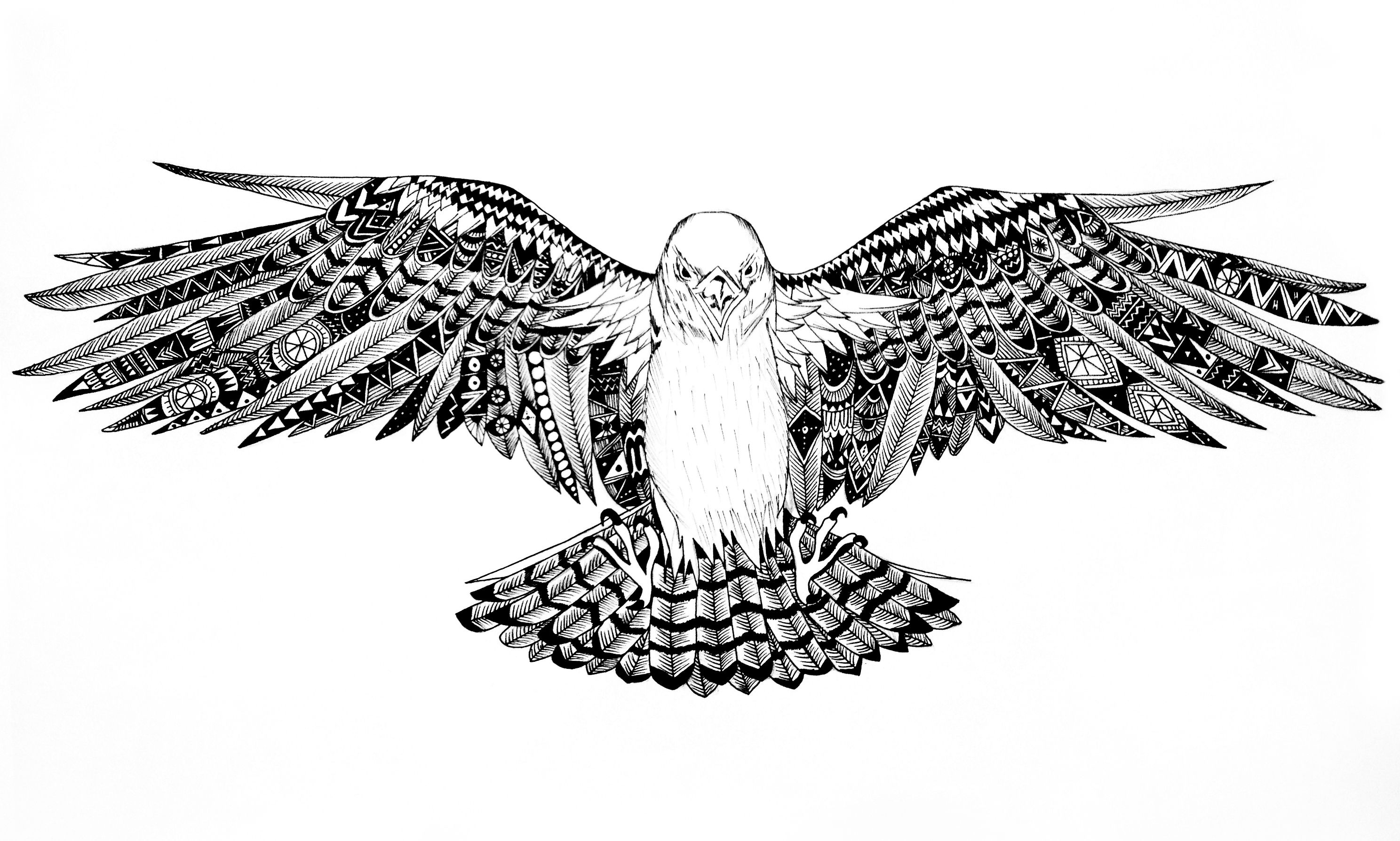 2976x1788 Sketch Falcon Adorable Tattoo Tattoos, Sketches - Falcon Sketch