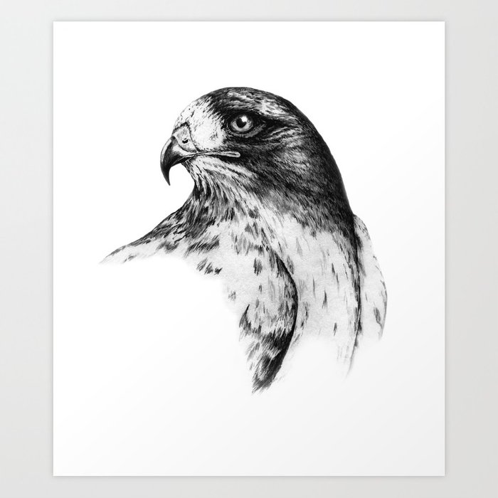 700x700 Falcon Sketch Art Print By Moosepaw Society6 - Falcon Sketch