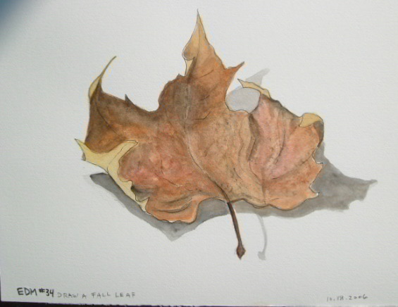 565x436 Edm - Fall Leaves Sketch