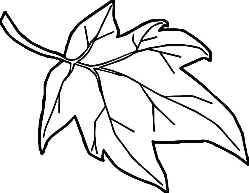840x653 Fall Leaves Coloring Pages Pdf Leaves Coloring Pages Free Leaf - Fall Leaves Sketch