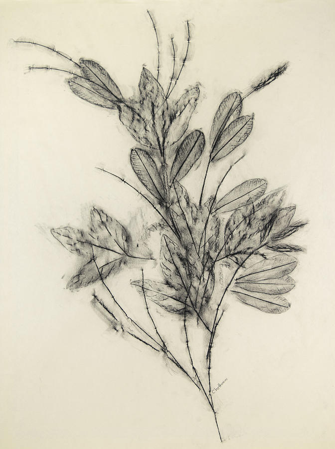 672x900 Fall Leaves Decoration Drawing By Chethmini Liyanapatabendy - Fall Leaves Sketch