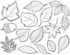 236x188 Related Image Stained Glass Patterns Coloring - Fall Leaves Sketch
