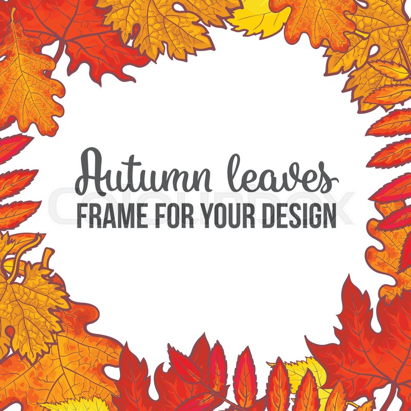 800x800 Round Frame With Fall Leaves, Sketch Style Vector Illustration - Fall Leaves Sketch