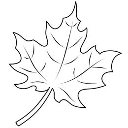 260x260 Trafarety Listev - Fall Leaves Sketch