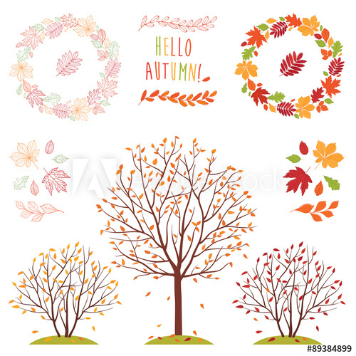 500x500 A Big Set Of Images Of Leaves Of Different Trees. Wreath Of Autumn - Fall Leaves Sketch