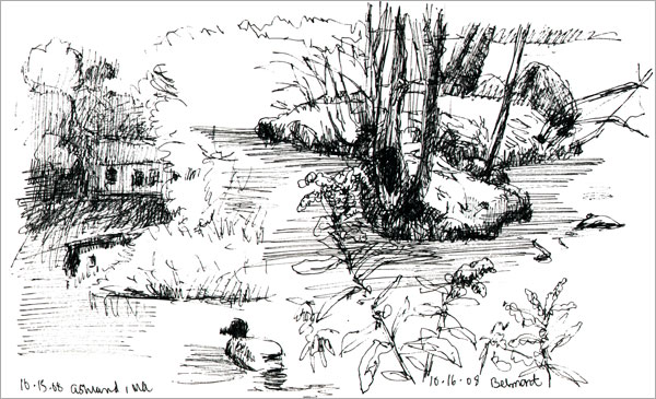600x365 Fall Sketches - Fall Sketches