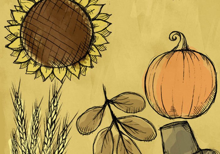 700x490 Fallthanksgiving Sketch Brushes - Fall Sketches