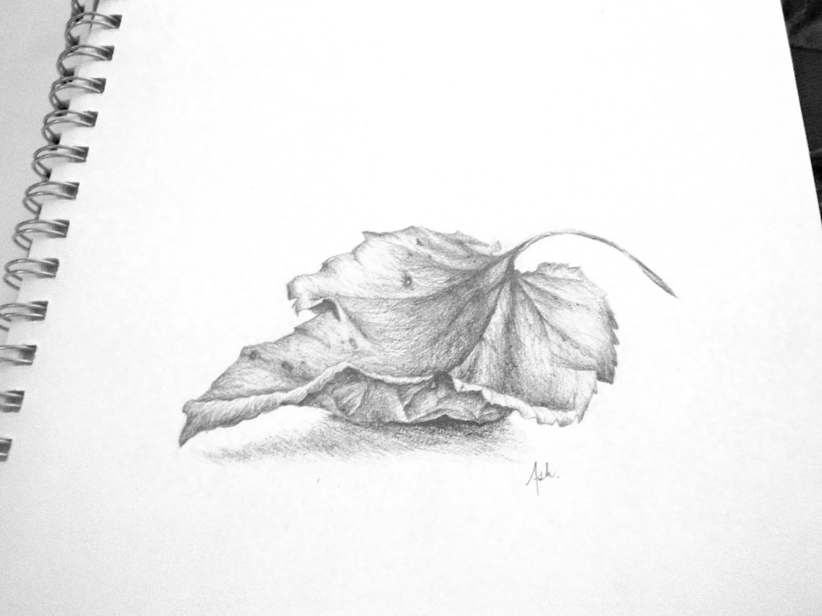 1600x1200 Orchis House Fall Homage Sketch - Fall Sketches