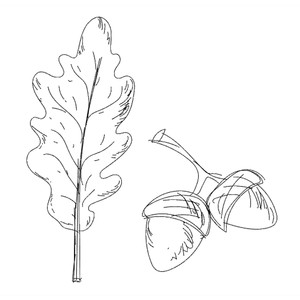 300x300 Silhouette Design Store - Fall Sketches