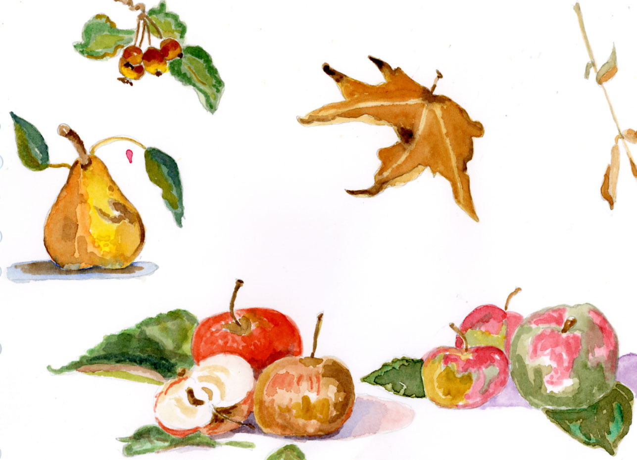 1287x930 Sketch Fall Leaves Fruit Wings Of Wonder - Fall Sketches