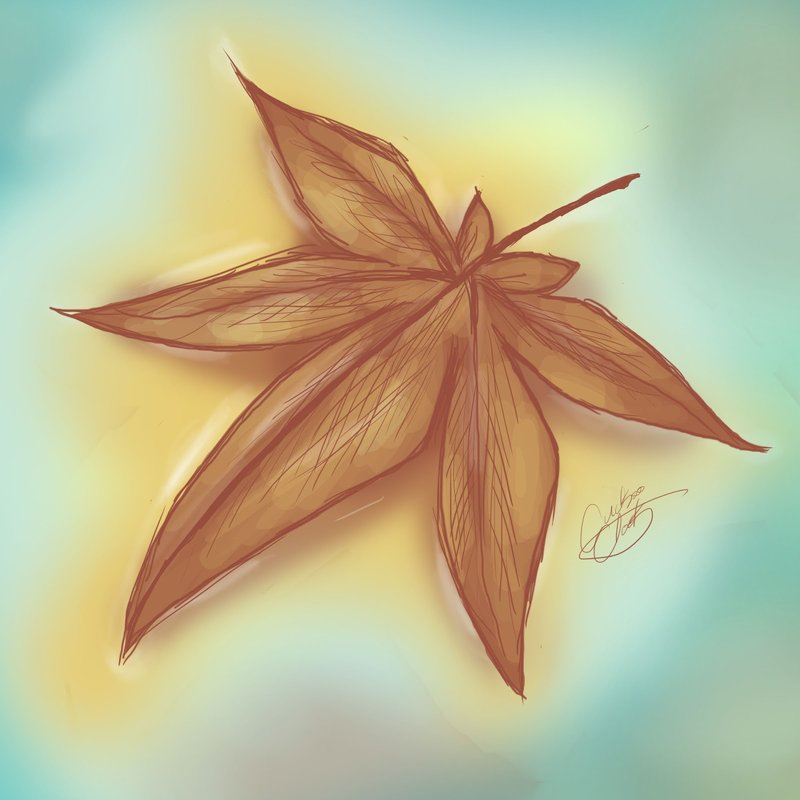 800x800 Sketches Autumn Leaf By Nad Lifeofficial - Fall Sketches