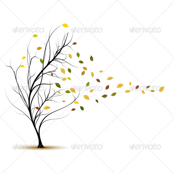 590x590 Fall Tree In Autumn With Wind Blowing - Fall Tree Sketch