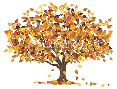 380x291 Gallery Drawings Of Fall Trees, - Fall Tree Sketch