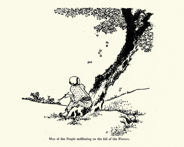 600x480 Japanese Man Watching Blossom Fall From A Tree - Fall Tree Sketch