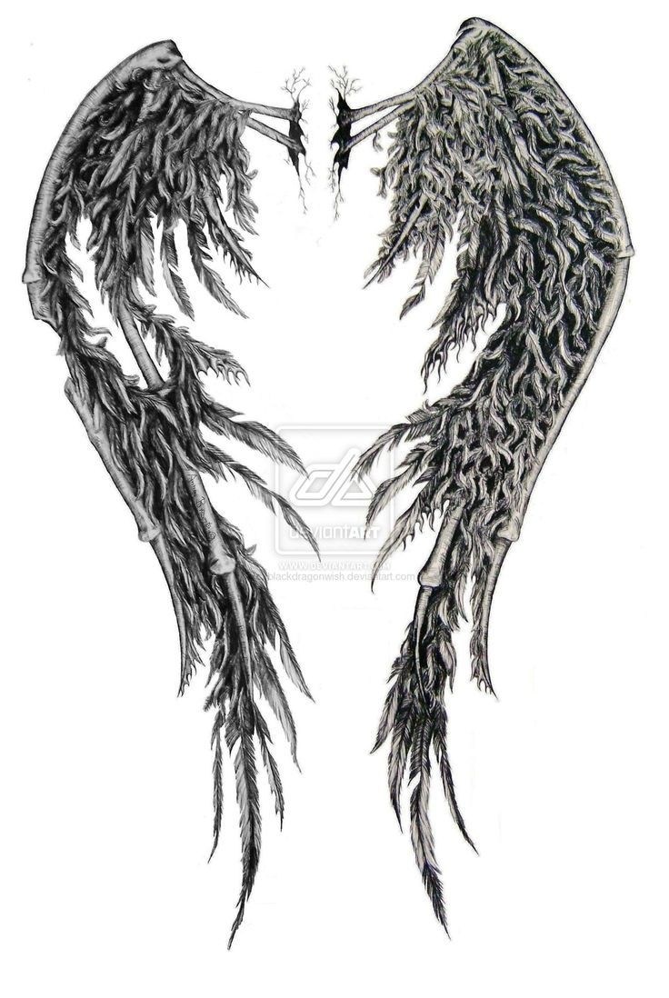 736x1098 Angel Wings Sketches 25 Beautiful Fallen Angel Tattoo Ideas On - Fallen Angel Sketch