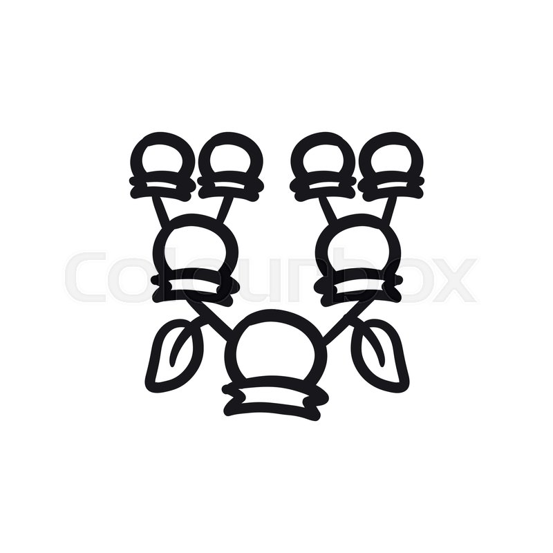 800x800 Family Tree Vector Sketch Icon Isolated On Background. Hand Drawn - Family Tree Sketch