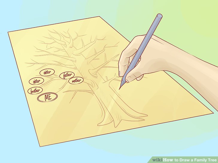 728x546 How To Draw A Family Tree 10 Steps (With Pictures) - Family Tree Sketch