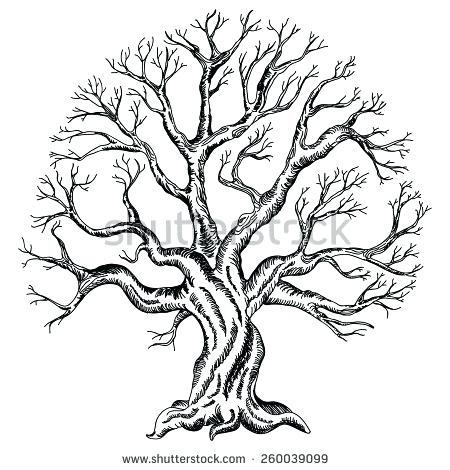 450x470 Family Tree Drawing How To Grow A Grnwav.co - Family Tree Sketch