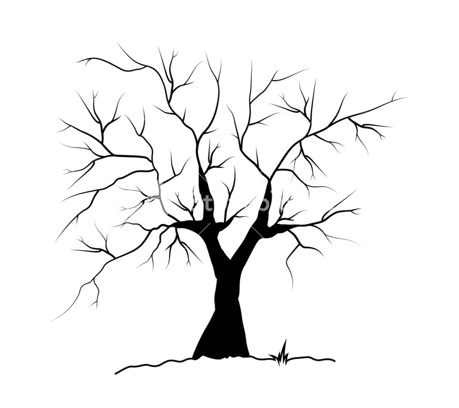 900x800 Download Arvore Morta Silhueta Clipart Family Tree Template Clip - Family Tree Sketch Free