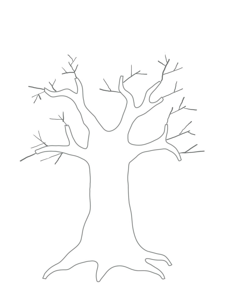 900x1165 Download Tree Template For Kids Clipart Branch Family Tree - Family Tree Sketch Free