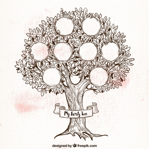 Family Tree Sketch Free at Explore collection of