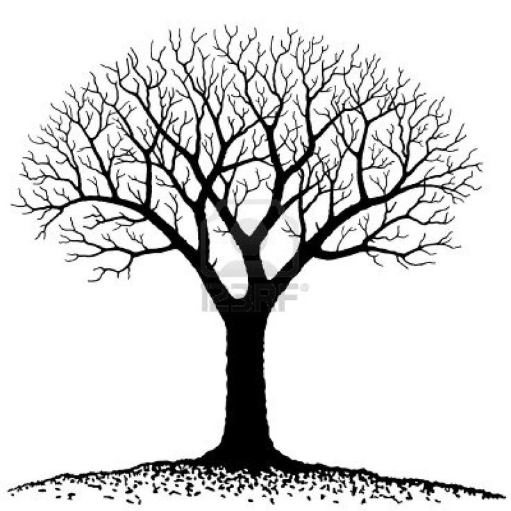 736x736 Clipart Family Tree - Family Tree Sketch Free