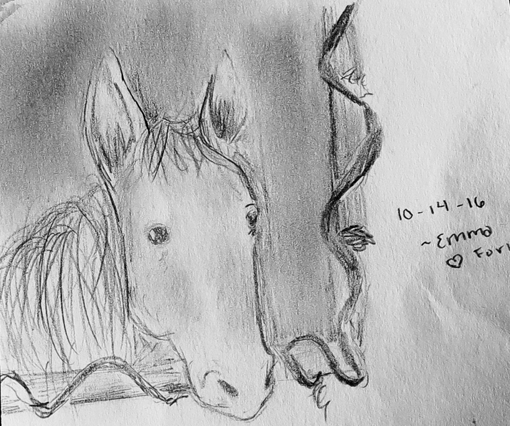 1000x836 French Fan Sketch The Lost Sea Expedition - Fan Sketch