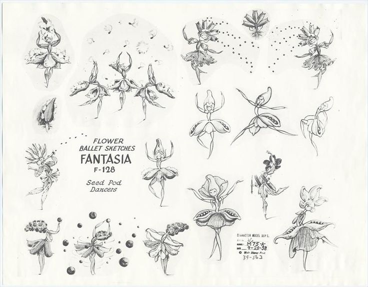 736x575 Character Design References - Fantasia Sketches