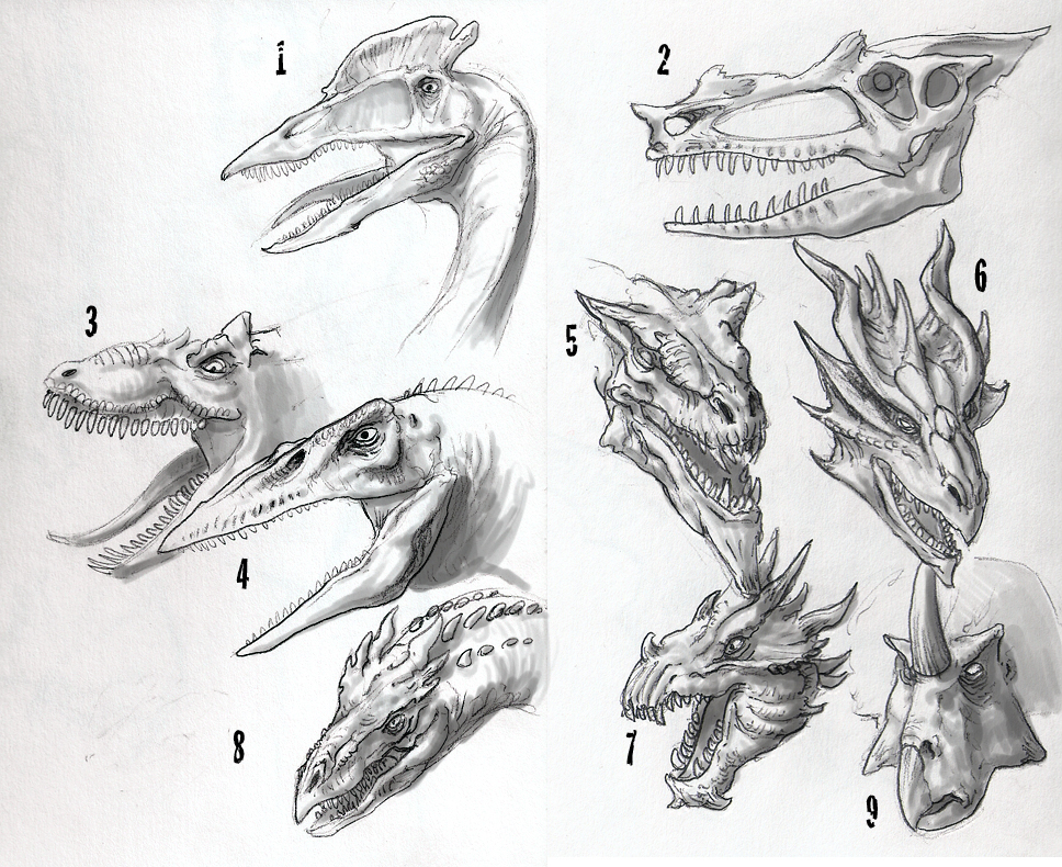 968x790 Dragon Sketches 01 By Dsil - Fantasy Dragon Sketch