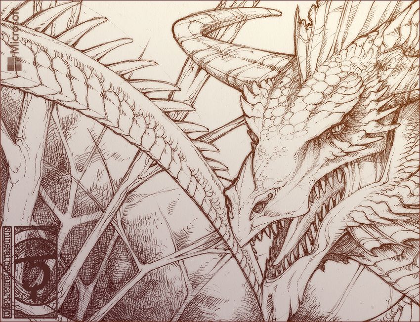 850x652 Pin By Erika Solnc On Dragons , Dragons - Fantasy Dragon Sketch
