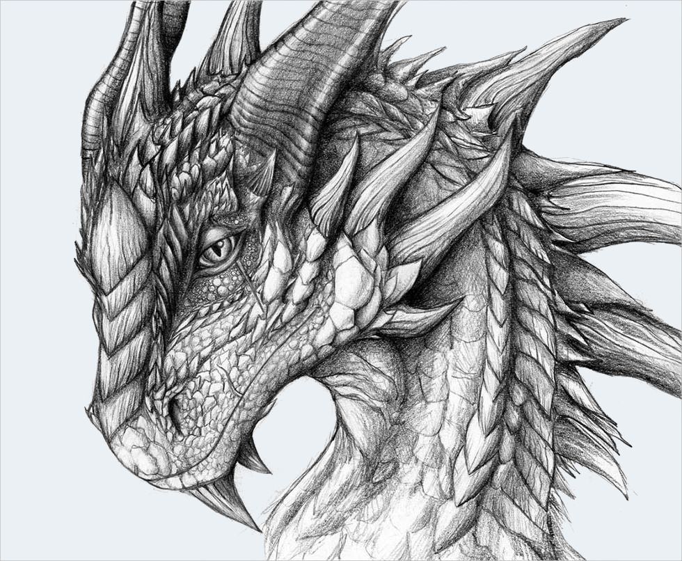 980x806 Free Dragon Art Pictures Realistic Dragon Drawings Free - Fantasy Dragon Sketch
